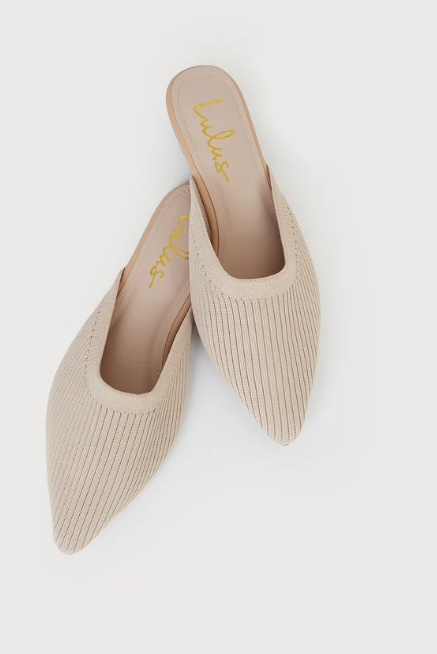 Pointed Toe Flats