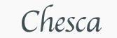 Chesca Direct promo codes